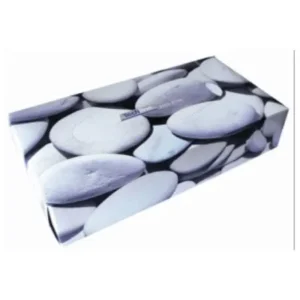 Boite distributrice de mouchoirs - 100 feuilles - 2 plis - Cartiera Carma